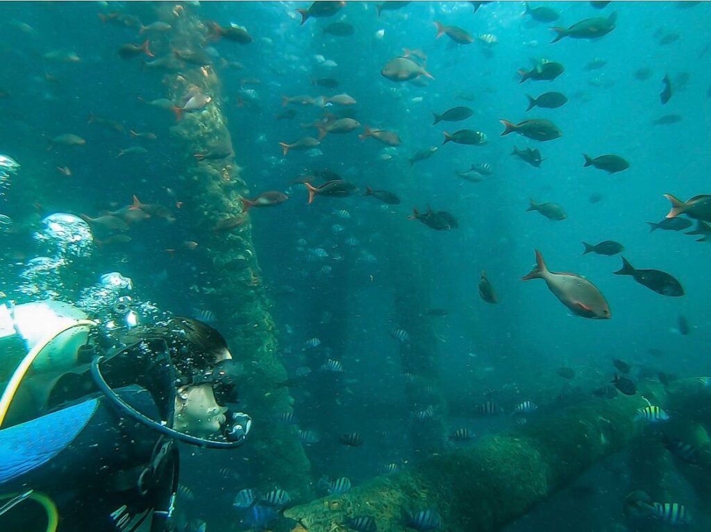 chelonia-dive-center